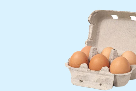 Organic Eggs